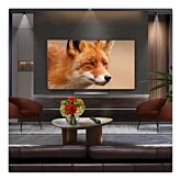 LG OLED77C56LB.AEK 77" 4K OLED Smart TV
