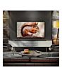 Lg OLED48B56LA.AEK OLED AI B5 48inch 4K Smart TV