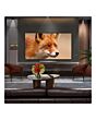 LG OLED77C56LB.AEK 77inch 4K OLED Smart TV