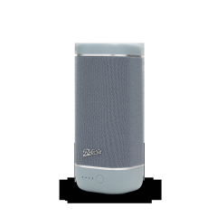 Roberts Radio REUNIONDE Portable BT Speaker - Duck Egg