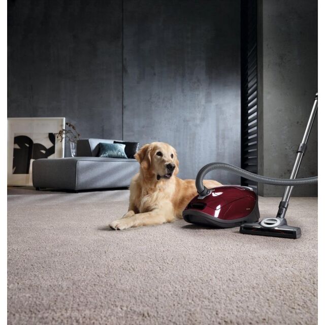Miele C3CAT+DOG Bagged Vacuum Cleaner-Tayberry Red