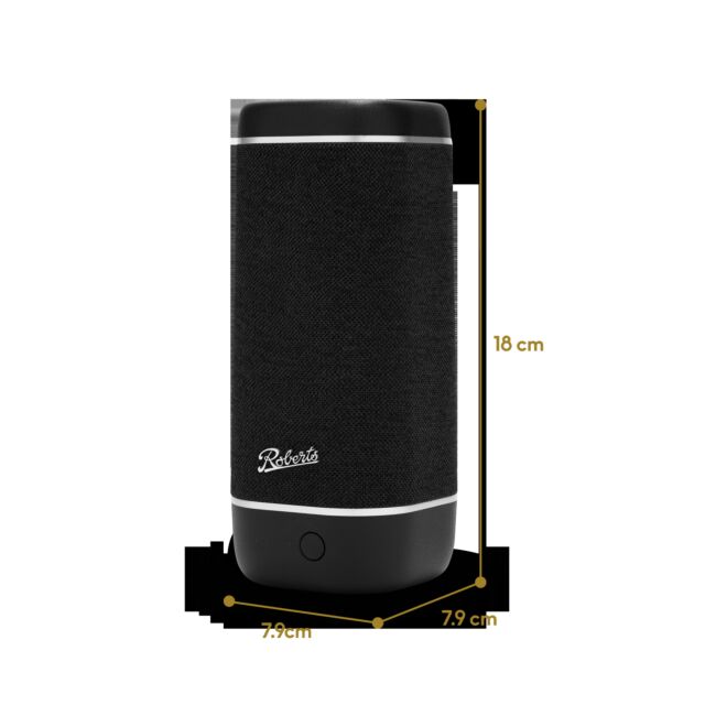 Roberts Radio REUNIONBK Speaker - Black