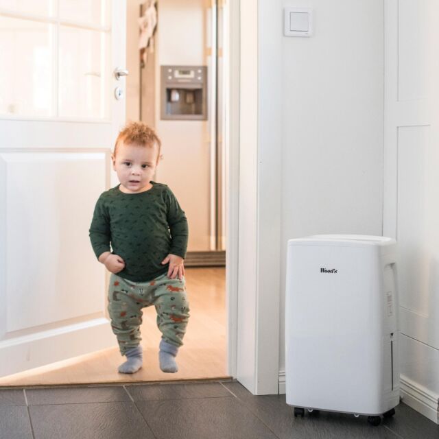 Woods MDX14 Dehumidifier