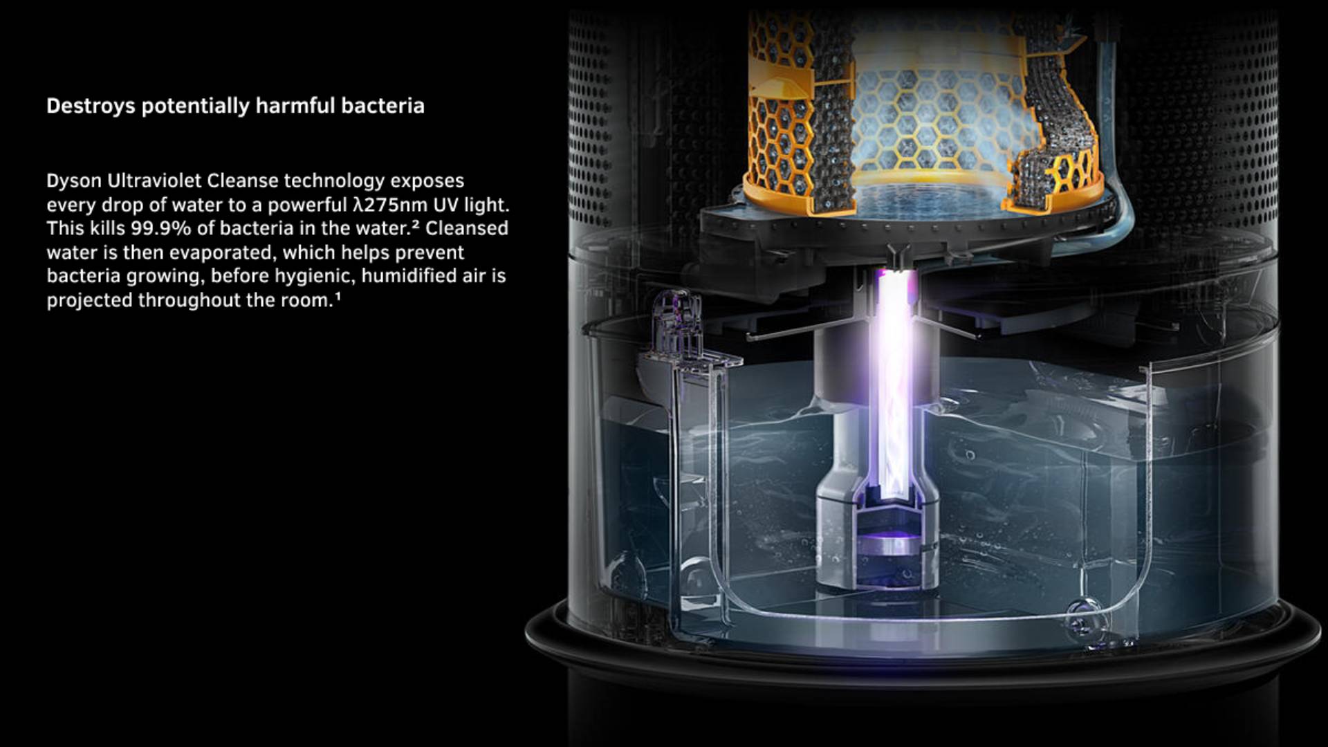 Destroys potentially harmful bacteria Dyson Ultraviolet Cleanse technology exposes every drop of water to a powerful λ275nm UV light. This kills 99.9% of bacteria in the water.2 Cleansed water is then evaporated, which helps prevent bacteria growing, before hygienic, humidified air is projected throughout the room.1